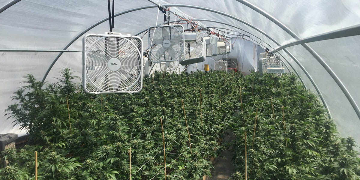 Efficient HVAC System for Greenhouses