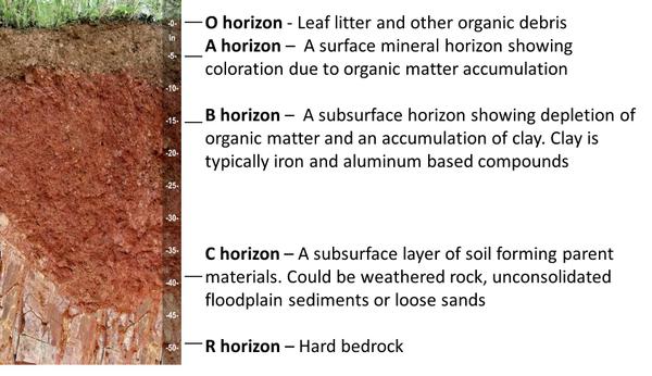 soil-classification-soil-health-cannabis-horticultural-association