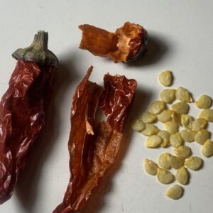 Explosive Ember Pepper Seeds