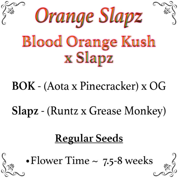 Blood Orange Kush x Slapz