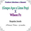 (Grape Ape x Lime Pop) X Wilson F2