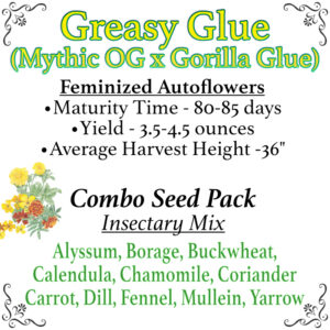 Greasy Glue Seeds