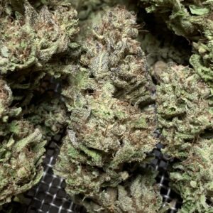 (Lime 1 x Grape Soda Skunk) X Wilson F2