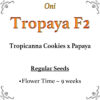 Tropaya F2 (Tropicanna Cookies x Papaya)