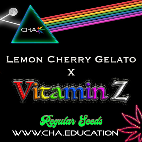 Lemon Cherry Gelato x Vitamin Z