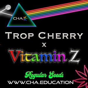 Trop Cherry x Vitamin Z