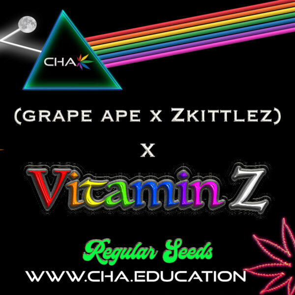 (Grape Ape x Zkittlez) x Vitamin Z
