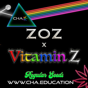 ZOZ x Vitamin Z