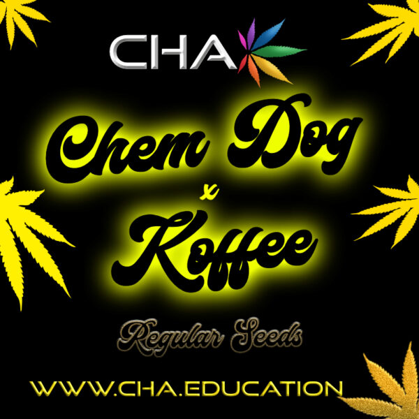 ChemDog x Koffee Seeds