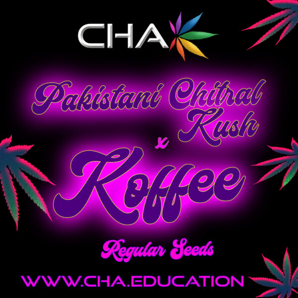 Pakistani Chitral Kush x Koffee Seed Labels