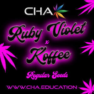 Ruby Violet x Koffee Seed Labels