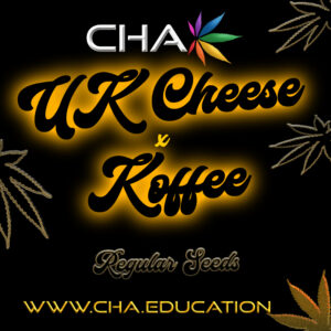 UK Cheese x Koffee Seed Labels