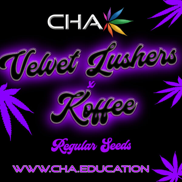 Velvet Lushers x Koffee Seed Labels