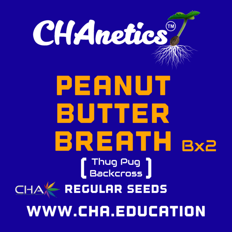 Peanut Butter Breath Bx2