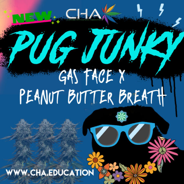 Pug Junky - Gas Face x Peanut Butter Breath