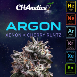 ARGON Xenon x Cherry Runtz - Argon