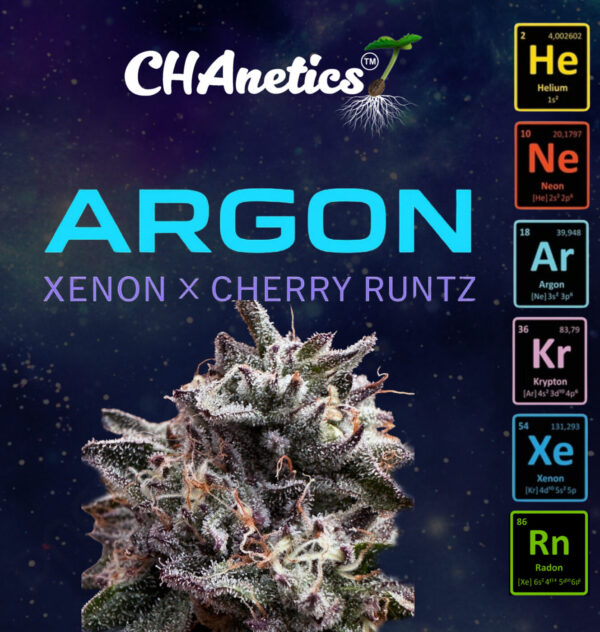 Xenon x Cherry Runtz - Argon