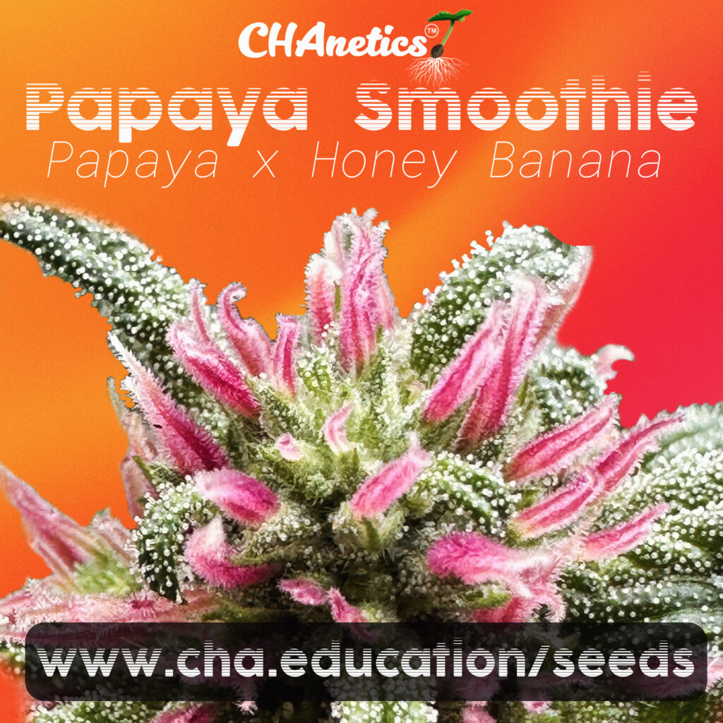Papaya Smoothie